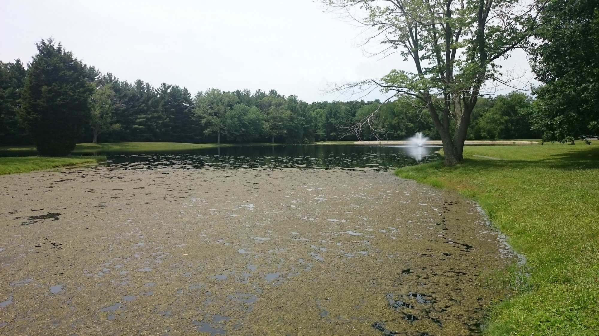 10b